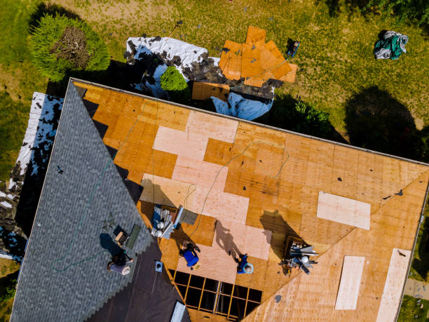 Best Roof Leak Repair  in Roanoke, IN
