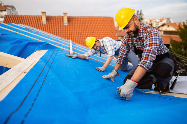 Best Roof Repair Services  in Roanoke, IN