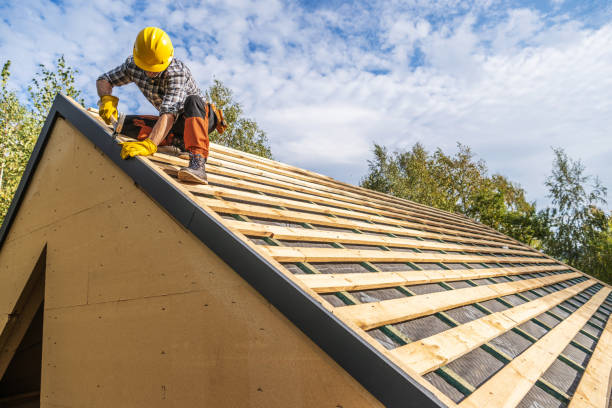 Best Roof Gutter Cleaning  in Roanoke, IN