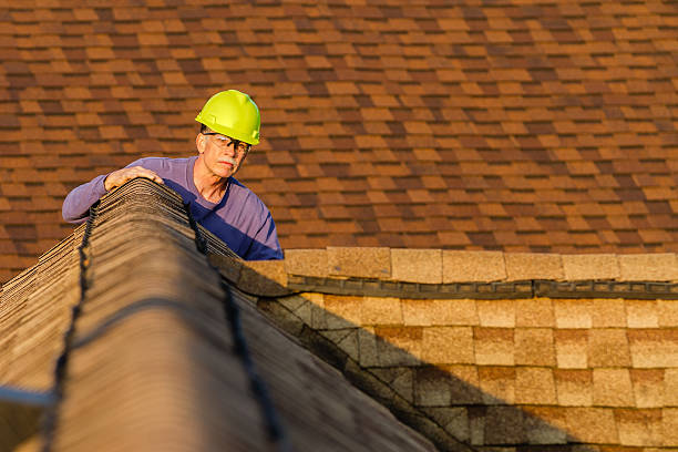 Best Storm Damage Roof Repair  in Roanoke, IN